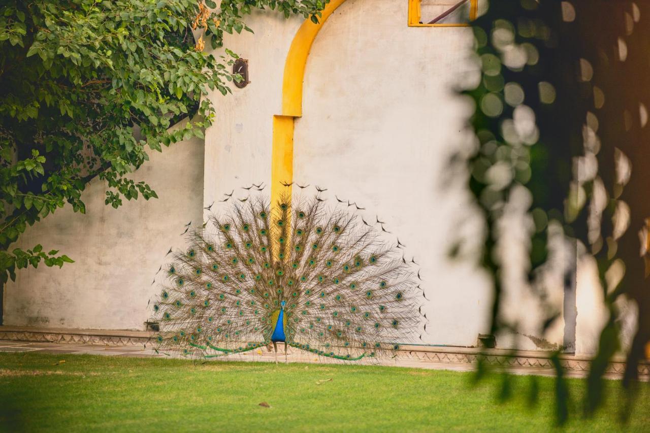 Hotel Diggi Palace Divisione di Jaipur Esterno foto